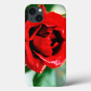 Magnificent red rose with morning dew drops  iPhone 13 case
