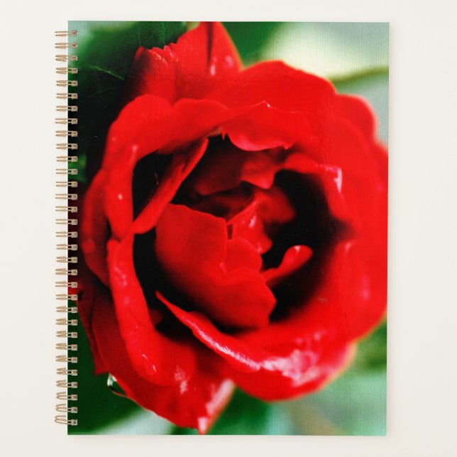 Magnificent red rose with morning dew drops planner (Front)
