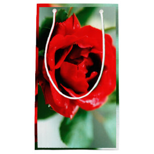 Magnificent red rose with morning dew drops small gift bag