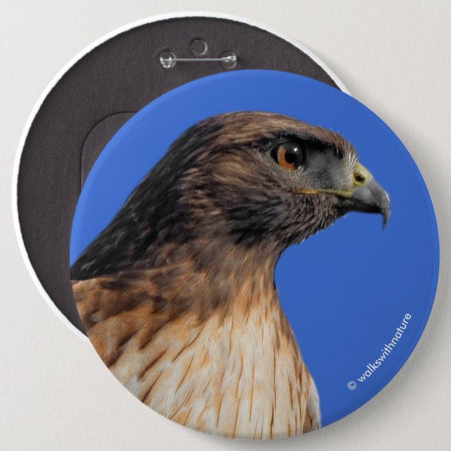 Magnificent Red-Tailed Hawk in the Sun 6 Cm Round Badge (Front & Back)