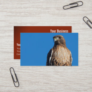 Magnificent Red-Tailed Hawk in the Sun Business Card