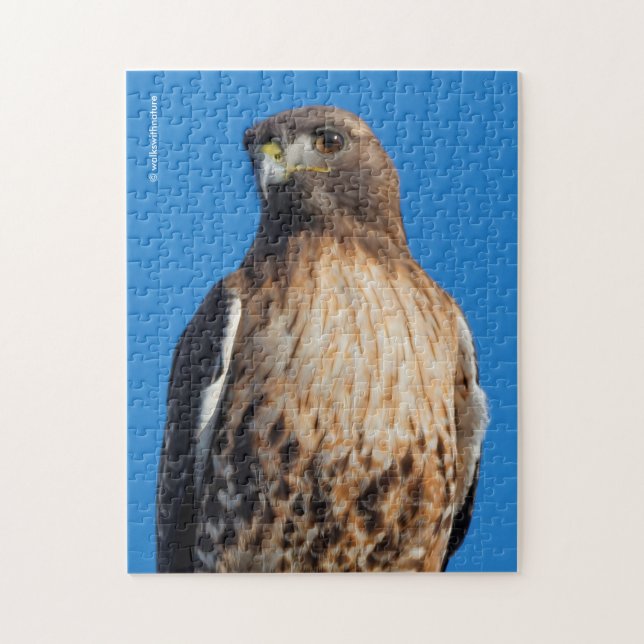Magnificent Red-Tailed Hawk in the Sun Jigsaw Puzzle (Vertical)