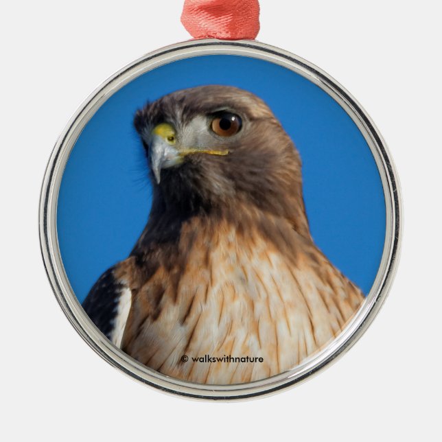 Magnificent Red-Tailed Hawk in the Sun Metal Ornament (Front)