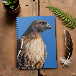 Magnificent Red-Tailed Hawk in the Sun Notebook