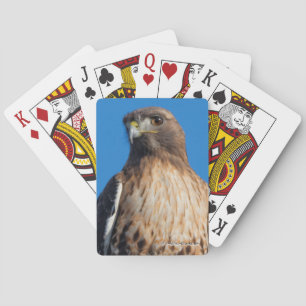 Magnificent Red-Tailed Hawk in the Sun Playing Cards