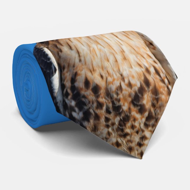 Magnificent Red-Tailed Hawk in the Sun Tie (Rolled)