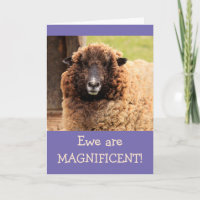 Magnificent Sheep Happy Birthday