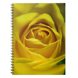 Magnificent yellow rose macro picture notebook