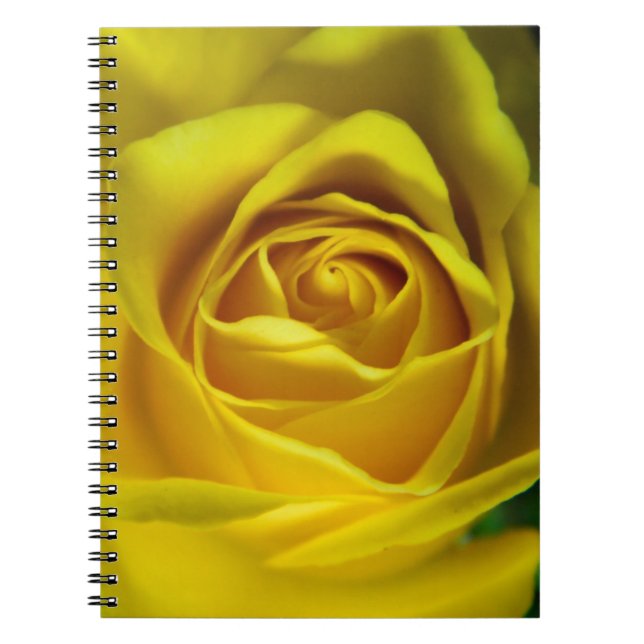 Magnificent yellow rose macro picture notebook (Front)