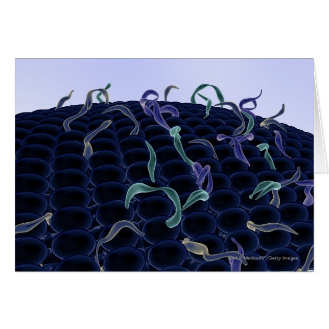 Magnified cell membrane (Front Horizontal)