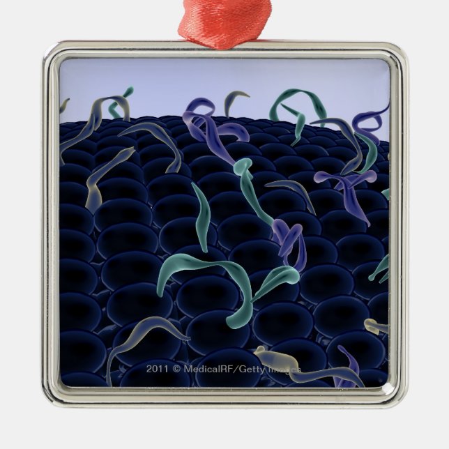 Magnified cell membrane metal ornament (Front)