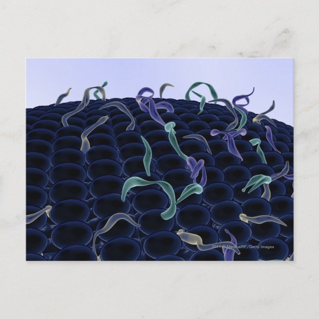 Magnified cell membrane postcard (Front)