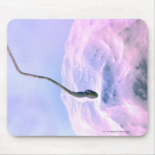 Magnified look at a sperm fertilising an egg mouse pad