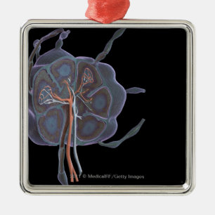 Magnified look of a lymph node metal tree decoration