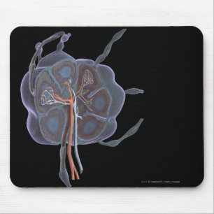 Magnified look of a lymph node mouse pad
