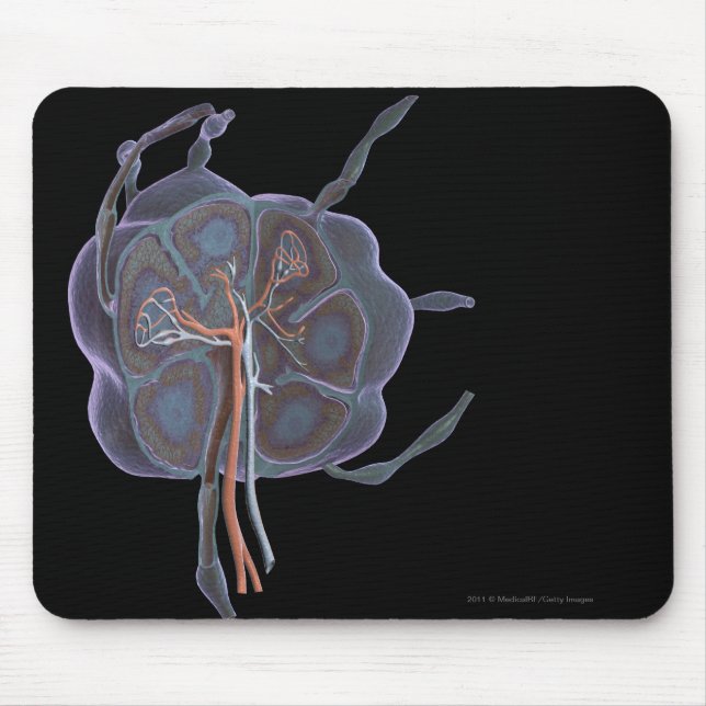 Magnified look of a lymph node mouse pad (Front)