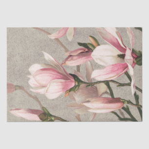 Magnolia (1886) tissue paper
