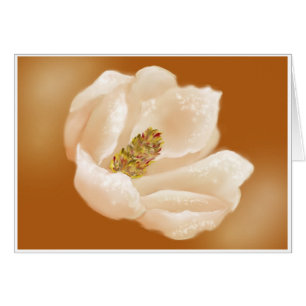 MAGNOLIA AGLOW