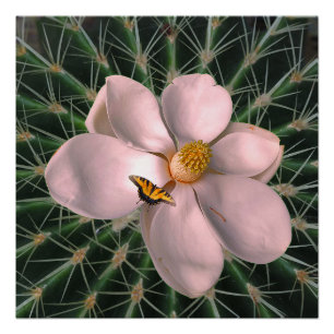 Magnolia art poster