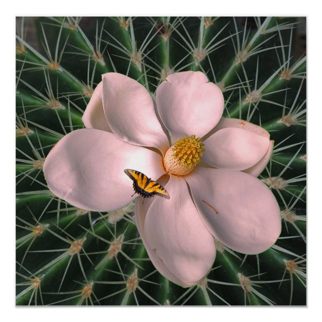 Magnolia art    poster (Front)