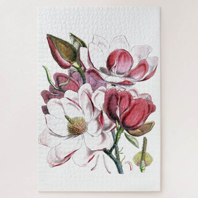 Magnolia Asian Flower Vintage Old Illustration Jigsaw Puzzle (Vertical)