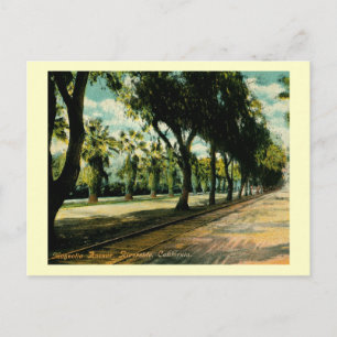 Magnolia Ave., Riverside, California Vintage Postcard