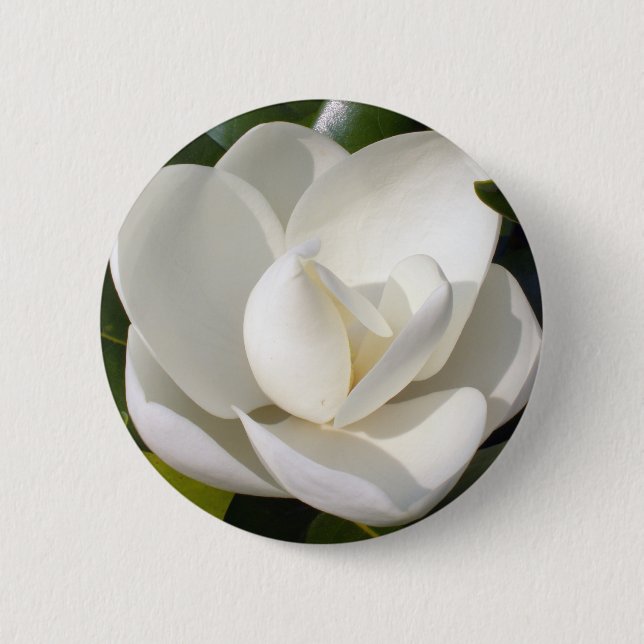 Magnolia Bloom 6 Cm Round Badge (Front)