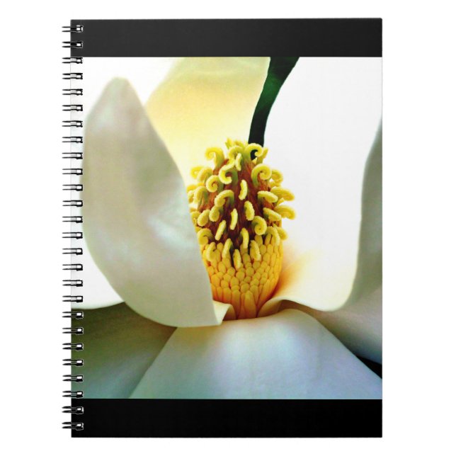 Magnolia Bloom Macro Notebook (Front)