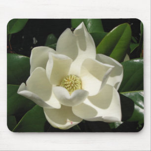 Magnolia Bloom Mouse Pad