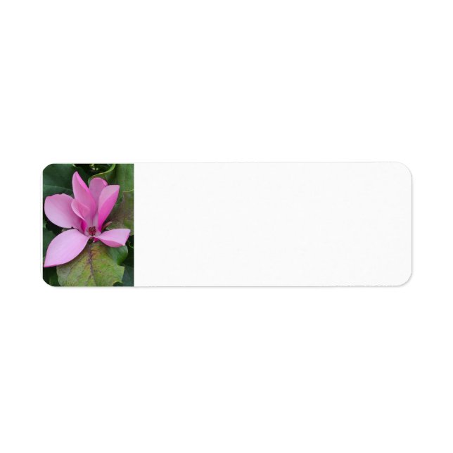 Magnolia Bloom Return Address Label (Front)