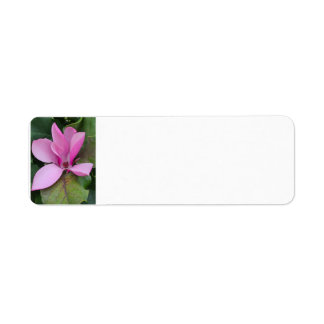 Magnolia Bloom Return Address Return Address Label