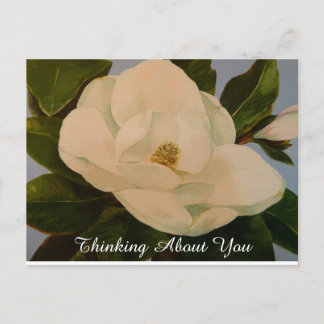 Magnolia Bloom Thinking About You Postcard