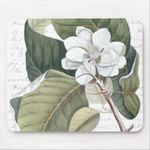 Magnolia Blossom and Clara Balfour Text Collage Mouse Pad