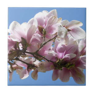 Magnolia Blossom Ceramic Tile