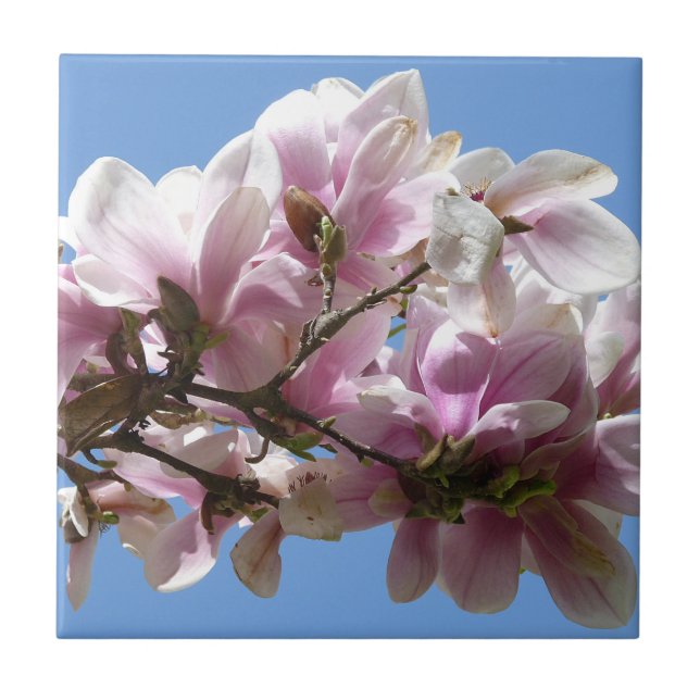 Magnolia Blossom Ceramic Tile (Front)