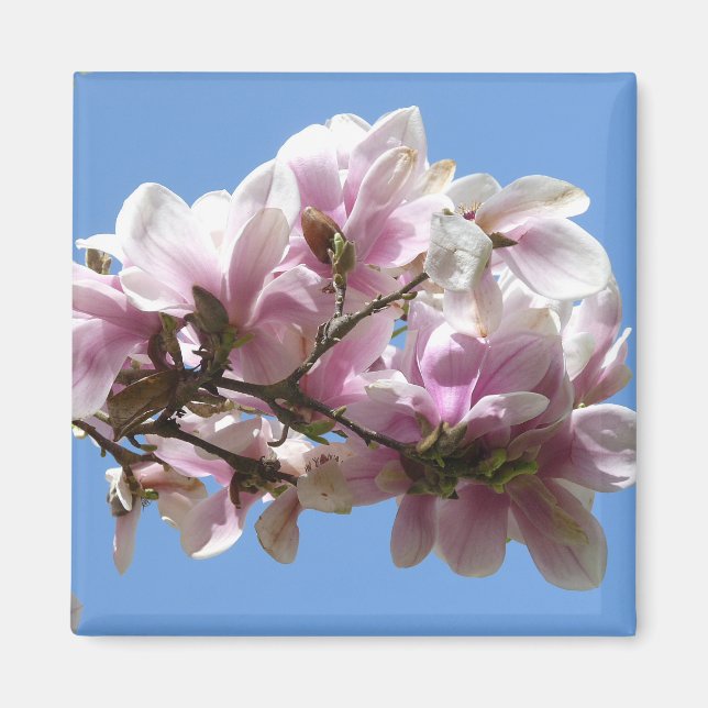 Magnolia Blossom Magnet (Front)