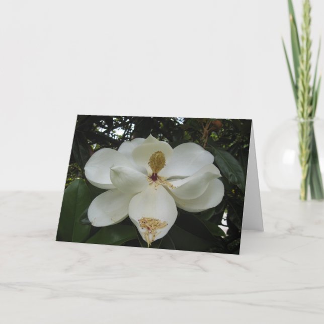 Magnolia Blossom Note Card (Front)