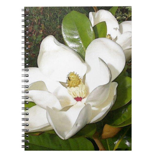 Magnolia Blossom Notebook (Front)