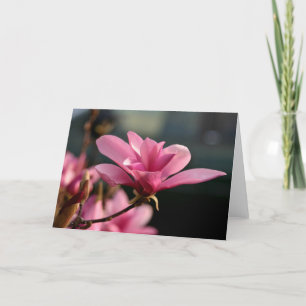 Magnolia Blossom Notecard