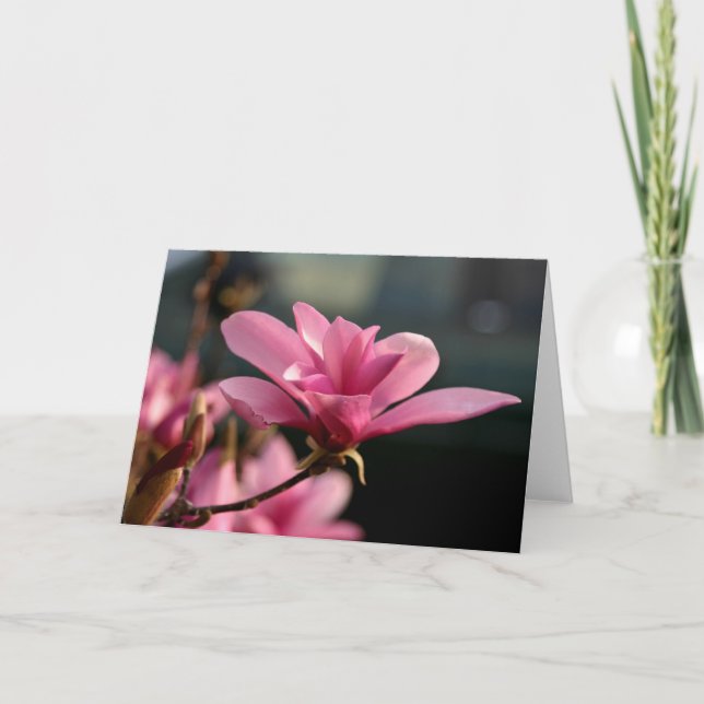Magnolia Blossom Notecard (Front)