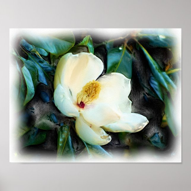Magnolia Blossom Oil Painting Digital Art Poster (Front)