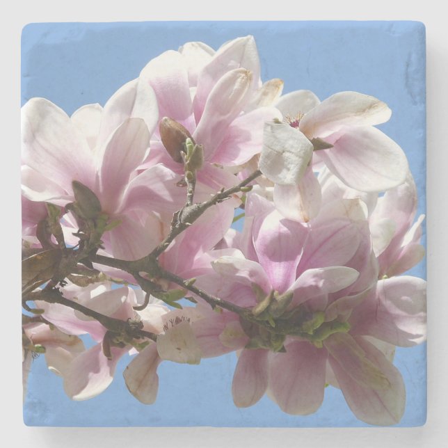 Magnolia Blossom Stone Coaster (Front)