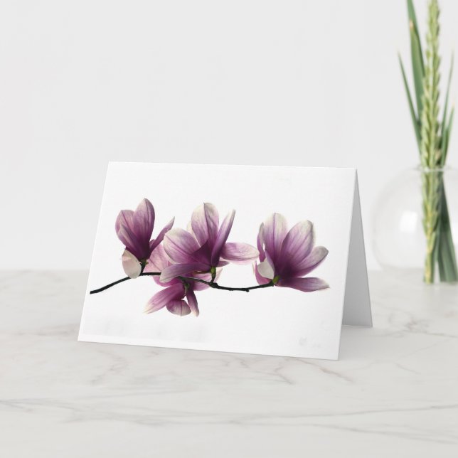 Magnolia Blossoms folded Sympathy  Card (Front)