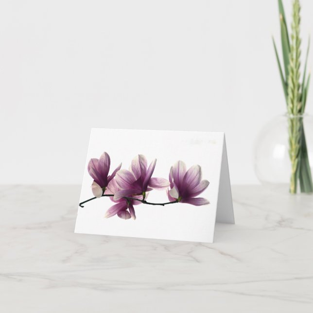 Magnolia Blossoms Note Card (Front)