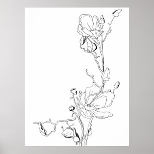 Magnolia Botanical Line Art Poster