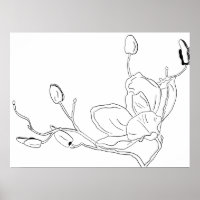 Magnolia Botanical Line Art