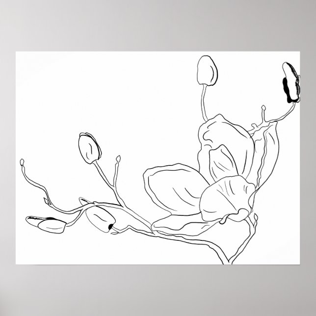 Magnolia Botanical Line Art Poster (Front)