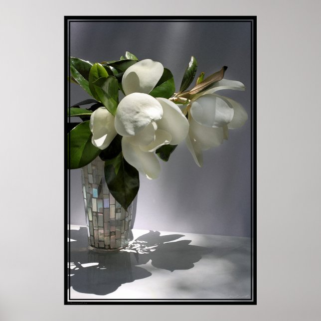 Magnolia Bouquet Poster -40x60 -other sizes also (Front)