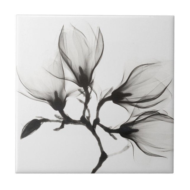 Magnolia Branch Black & White, (ca. 1910-1925) Ceramic Tile (Front)