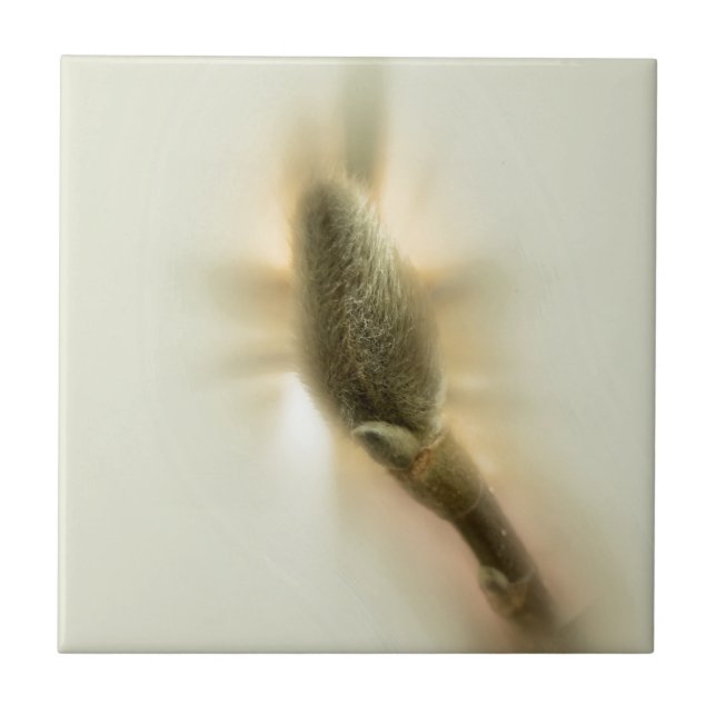 magnolia bud tile (Front)